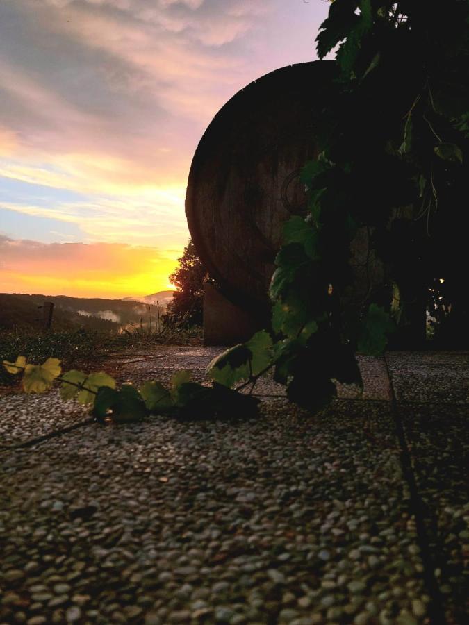 Zerko Holiday Home - Vineyard Chalet With Sauna And Jacuzzi Free Mirna エクステリア 写真