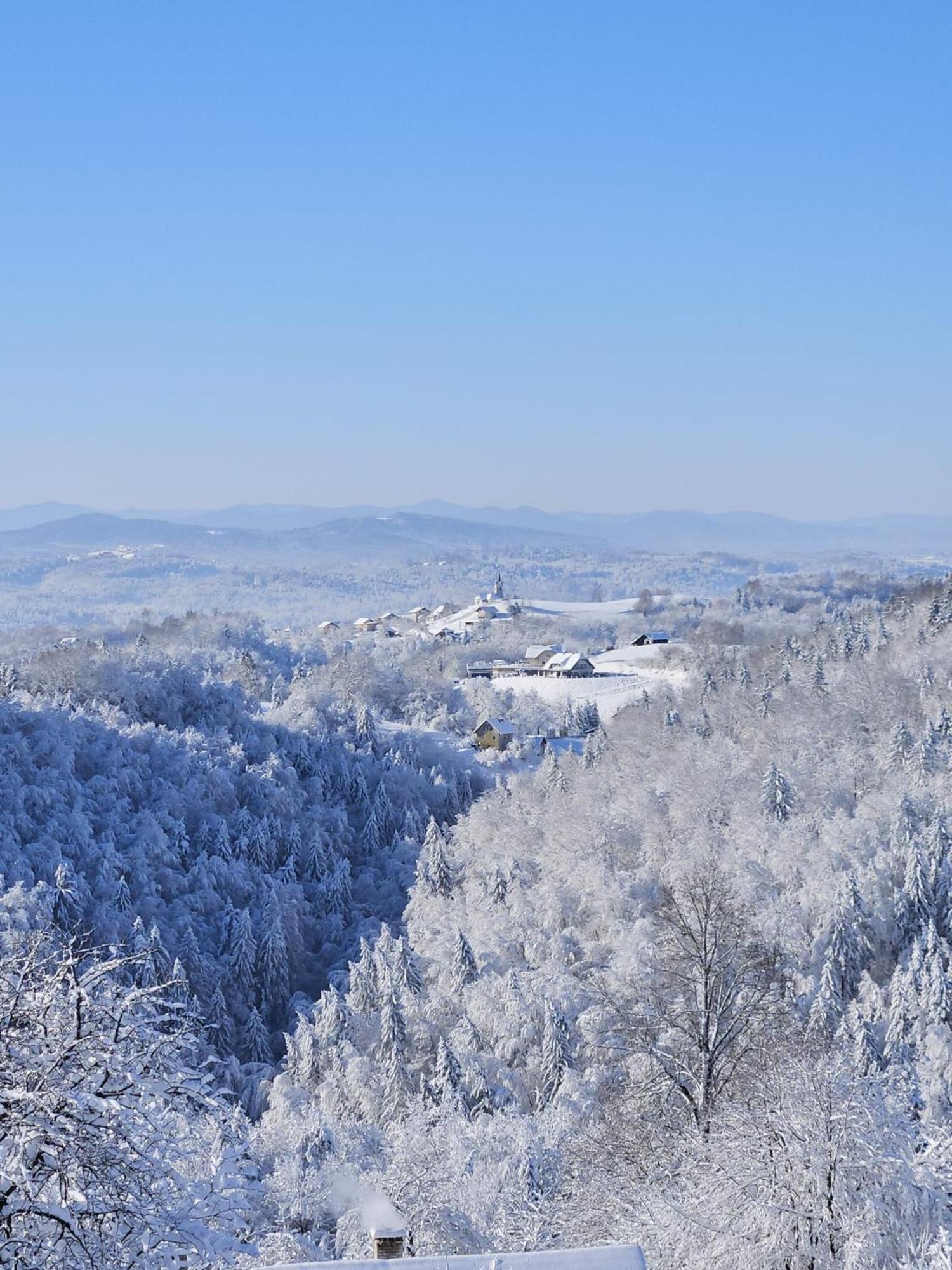 Zerko Holiday Home - Vineyard Chalet With Sauna And Jacuzzi Free Mirna エクステリア 写真