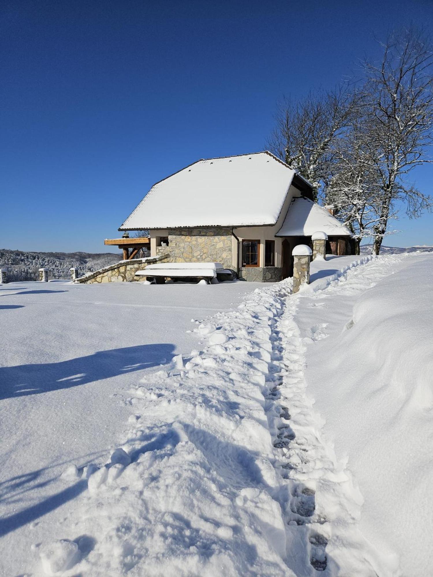 Zerko Holiday Home - Vineyard Chalet With Sauna And Jacuzzi Free Mirna エクステリア 写真
