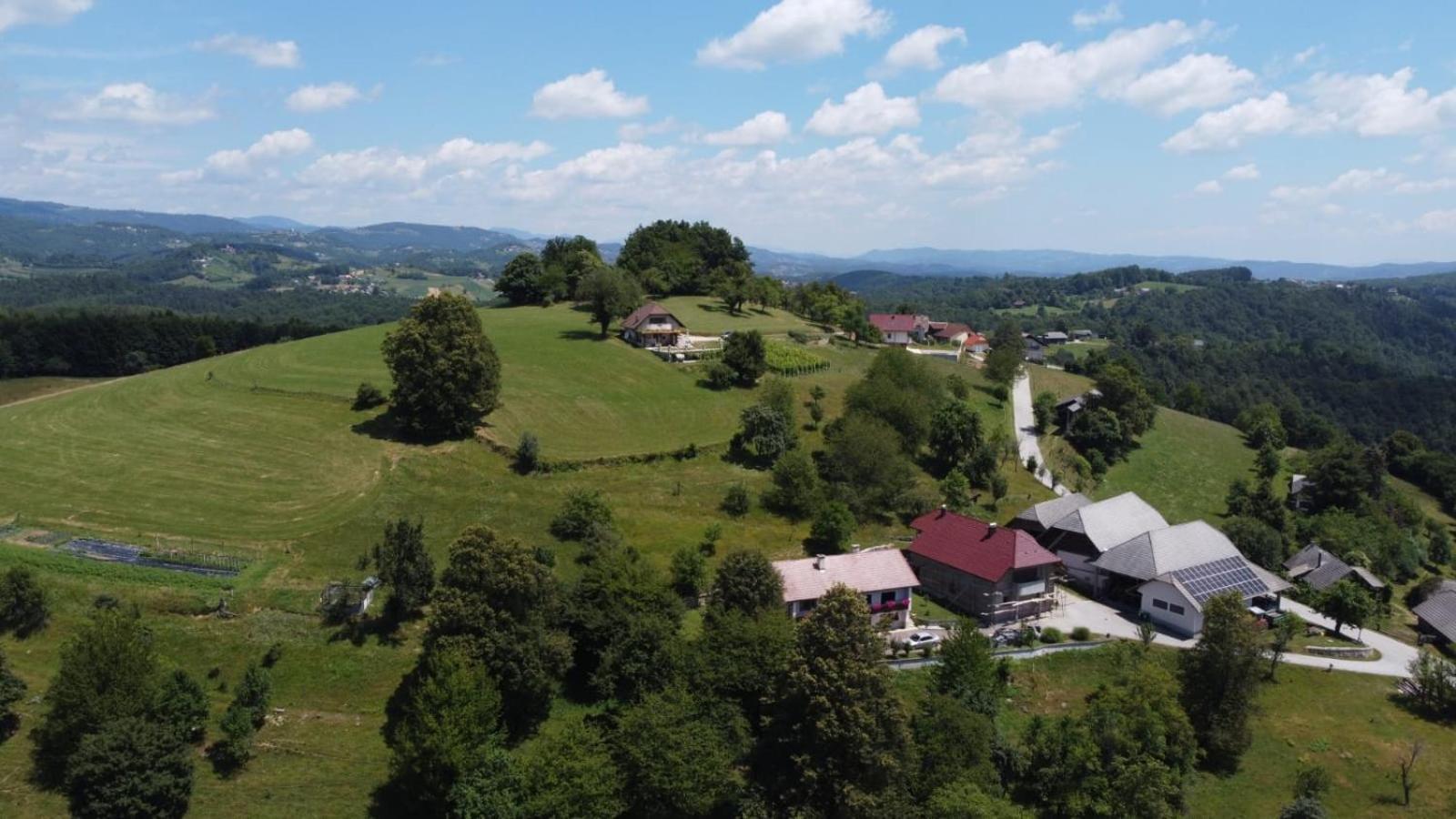 Zerko Holiday Home - Vineyard Chalet With Sauna And Jacuzzi Free Mirna エクステリア 写真