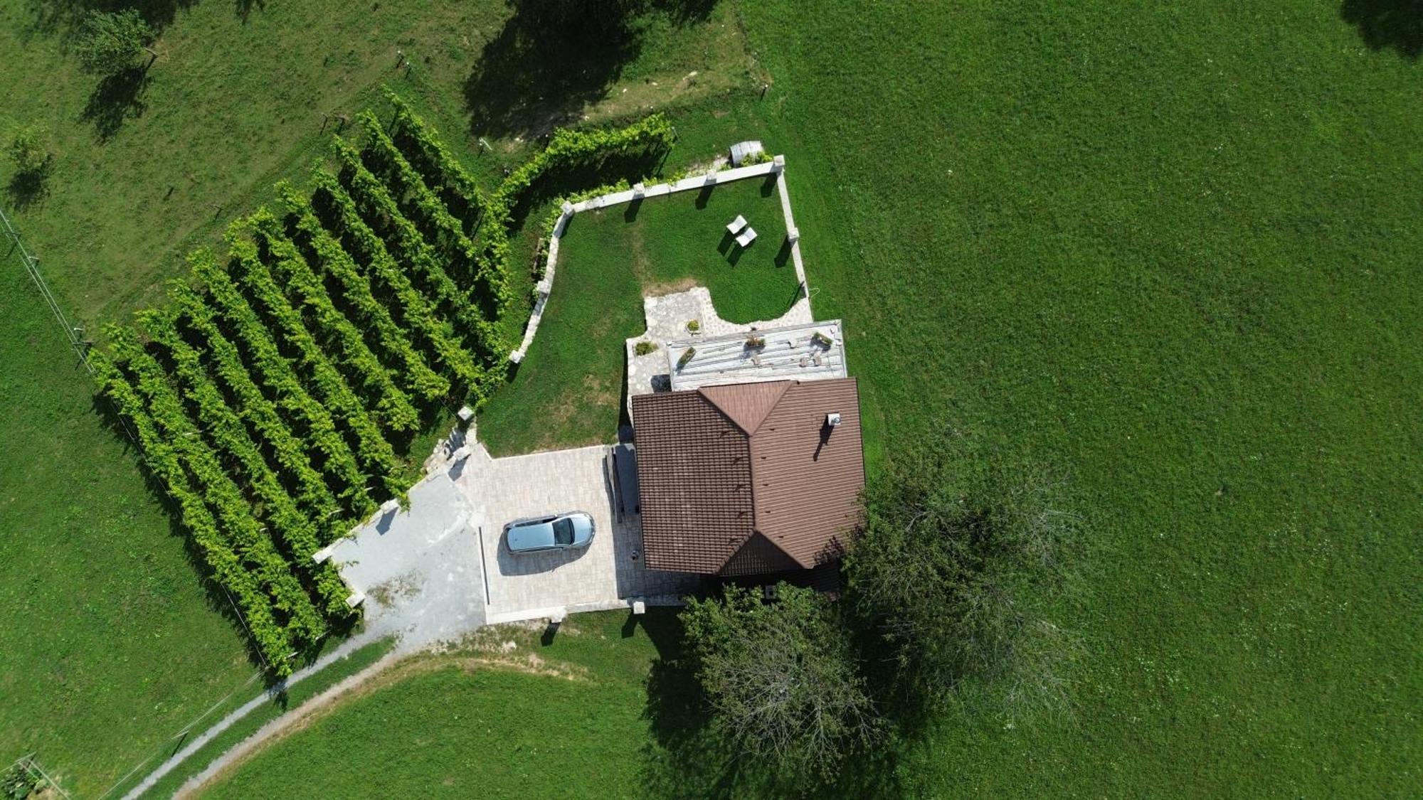 Zerko Holiday Home - Vineyard Chalet With Sauna And Jacuzzi Free Mirna エクステリア 写真