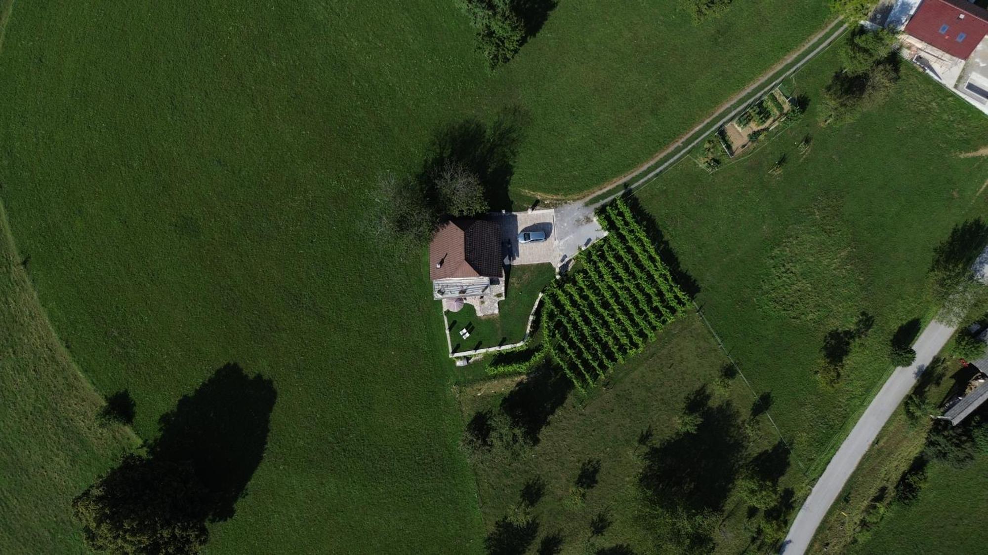Zerko Holiday Home - Vineyard Chalet With Sauna And Jacuzzi Free Mirna エクステリア 写真